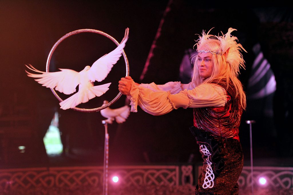 takis - The Hooley, Gifford's Circus (2021) | Irish dancers (04)